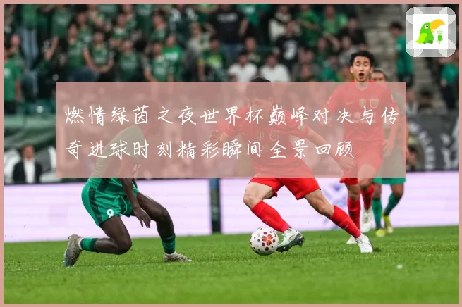 燃情绿茵之夜世界杯巅峰对决与传奇进球时刻精彩瞬间全景回顾