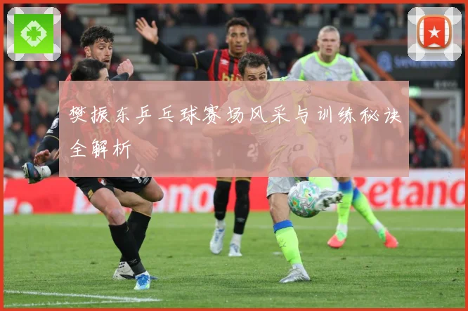 樊振东乒乓球赛场风采与训练秘诀全解析