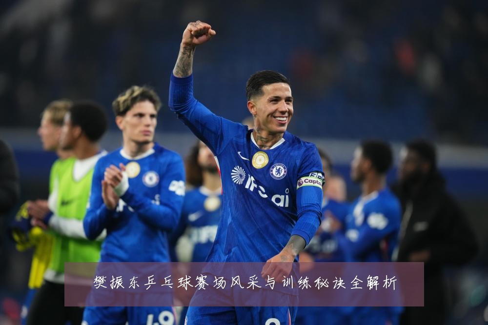 樊振东乒乓球赛场风采与训练秘诀全解析
